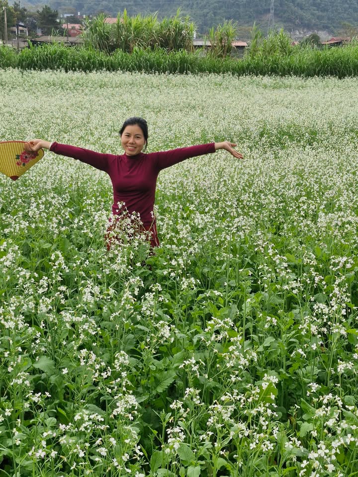 Đất nền Vạn Thắng, Ý Yên 120m² giá chỉ 2 tỷ - Cơ hội đầu tư tuyệt vời!