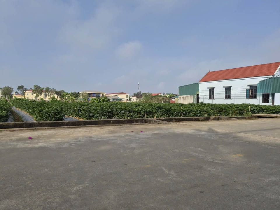 Đất nền Quang Lộc, Hậu Lộc 196m² - Cơ hội đầu tư hấp dẫn!