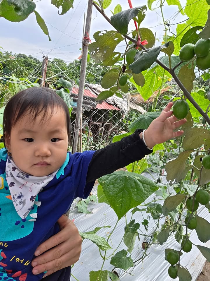 Đất nền Yên Phong 100m² giá 3 tỷ - Vị trí đắc địa kinh doanh sầm uất!