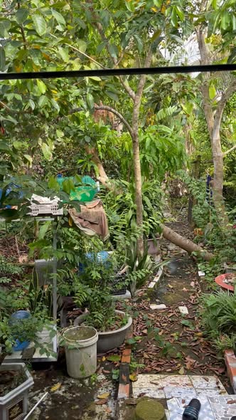 Nhà mặt tiền Quốc lộ 80 Tân Hiệp 380m² giá 2.9 tỷ - Kinh doanh thuận lợi!