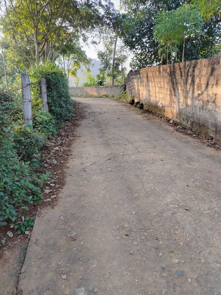 Đất nền Tân Hòa Hòa Bình 400m² - Vị trí lô góc, thuận tiện xây dựng!