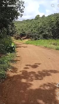 Đất farm 2ha mặt tiền bê tông tại Phú Văn, Bù Gia Mập - Giá chỉ 1.15 tỷ!