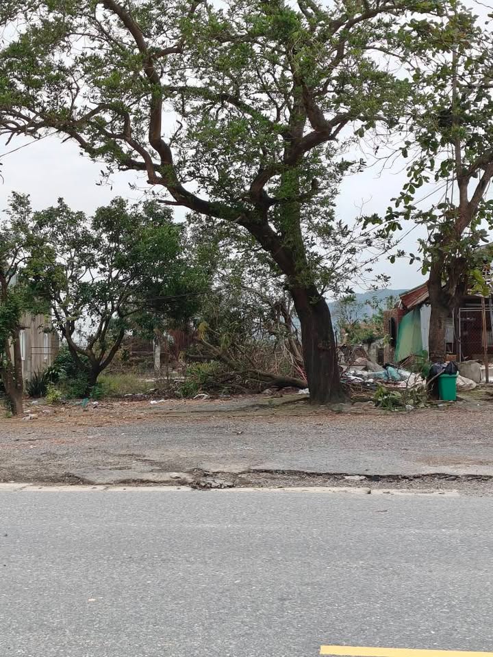 Đất Mặt Tiền Kinh Doanh Quốc Lộ 1A, Kỳ Anh 448m² giá 5.5 tỷ - Thích hợp đầu tư sinh lời!