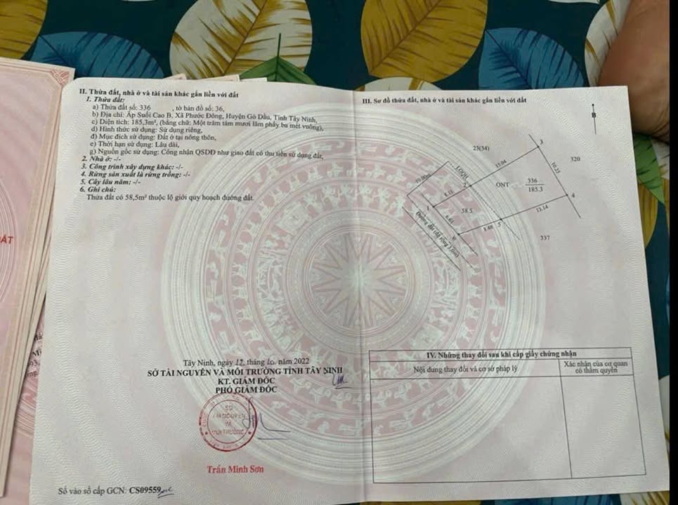 Lô đất Suối Cao, Gia Lộc 204m² giá 475 triệu - Cơ hội đầu tư hấp dẫn!