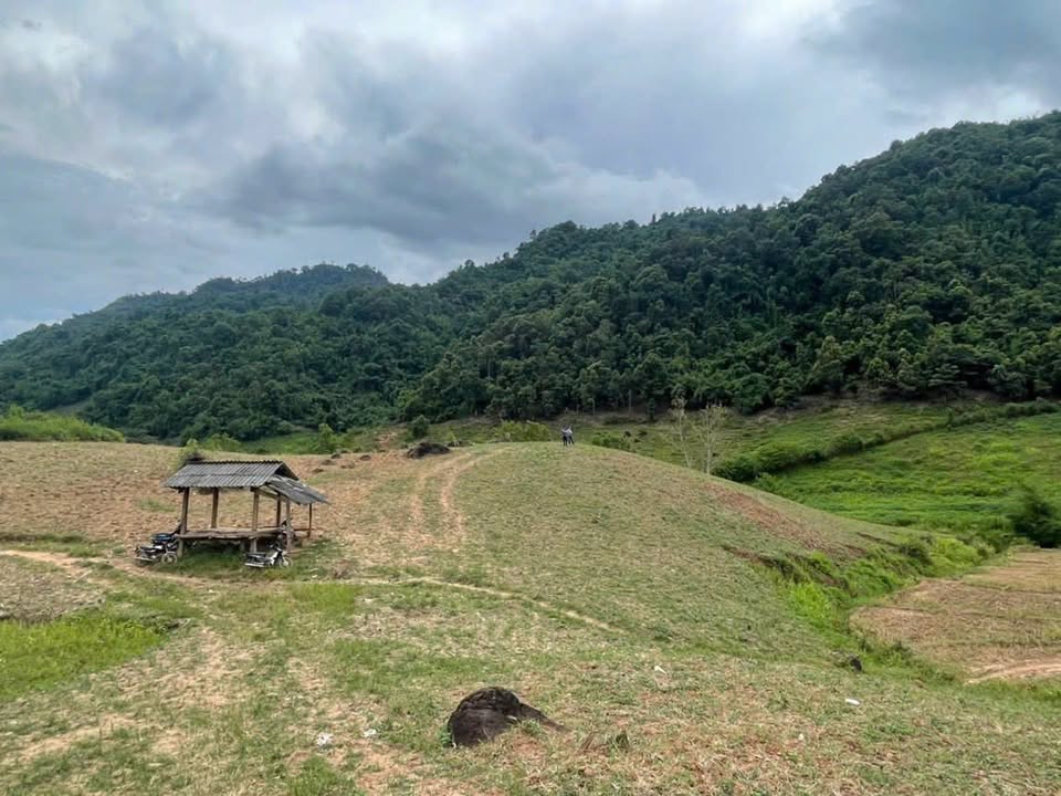 Đất nông nghiệp Chiềng Sơn Mộc Châu 14ha giá 7 tỷ - Thế đất đẹp, tiềm năng phát triển!