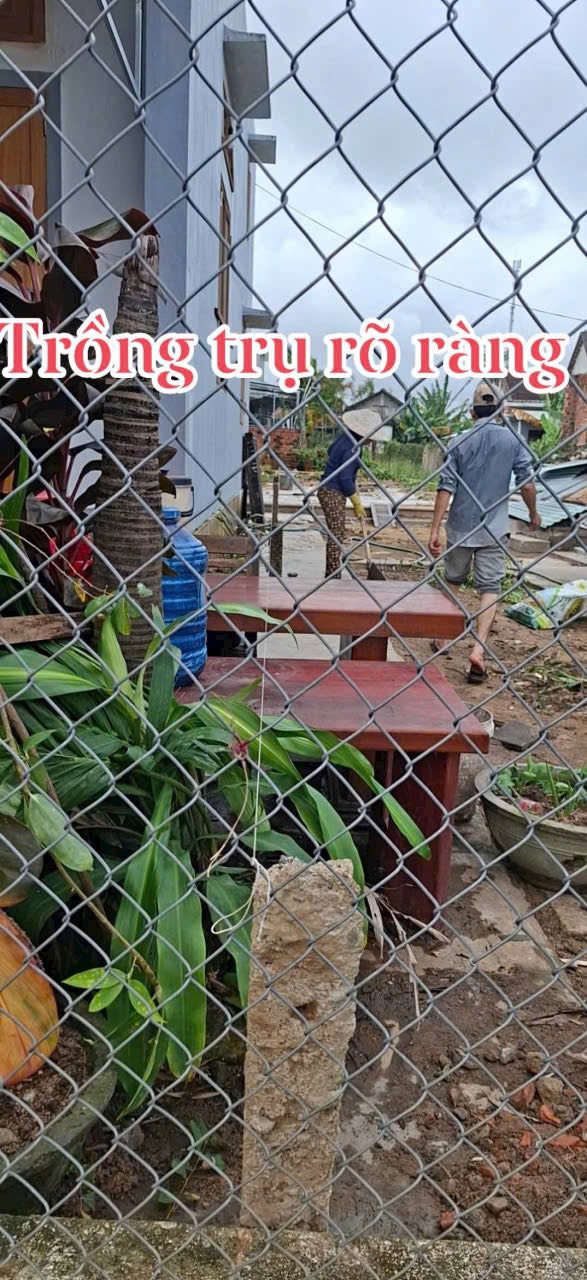 Đất nền Tân Tiến, Krông Pắc 29.5m² giá 700 triệu - Hướng Nam mát mẻ!