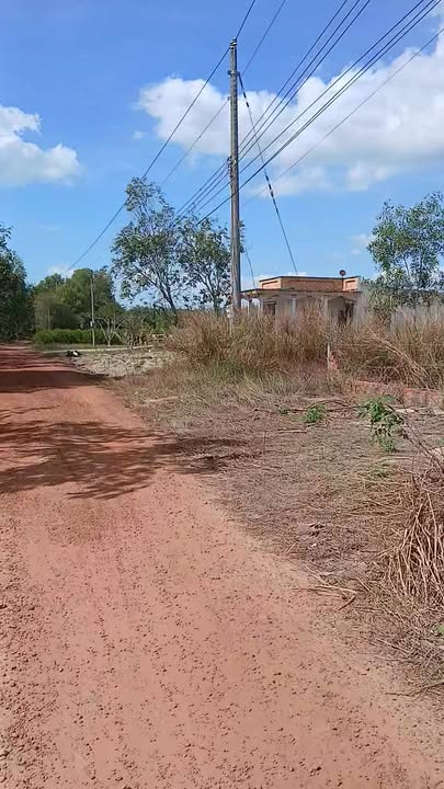 Đất nền 1000m² tại Định An, Dầu Tiếng - Cơ hội đầu tư cực tốt!