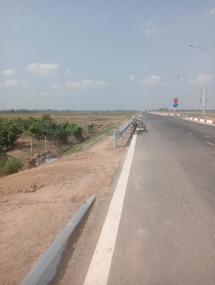 Bán vườn cây ăn trái Tân Châu An Giang 4300m² - Cơ hội đầu tư sinh lời hấp dẫn!