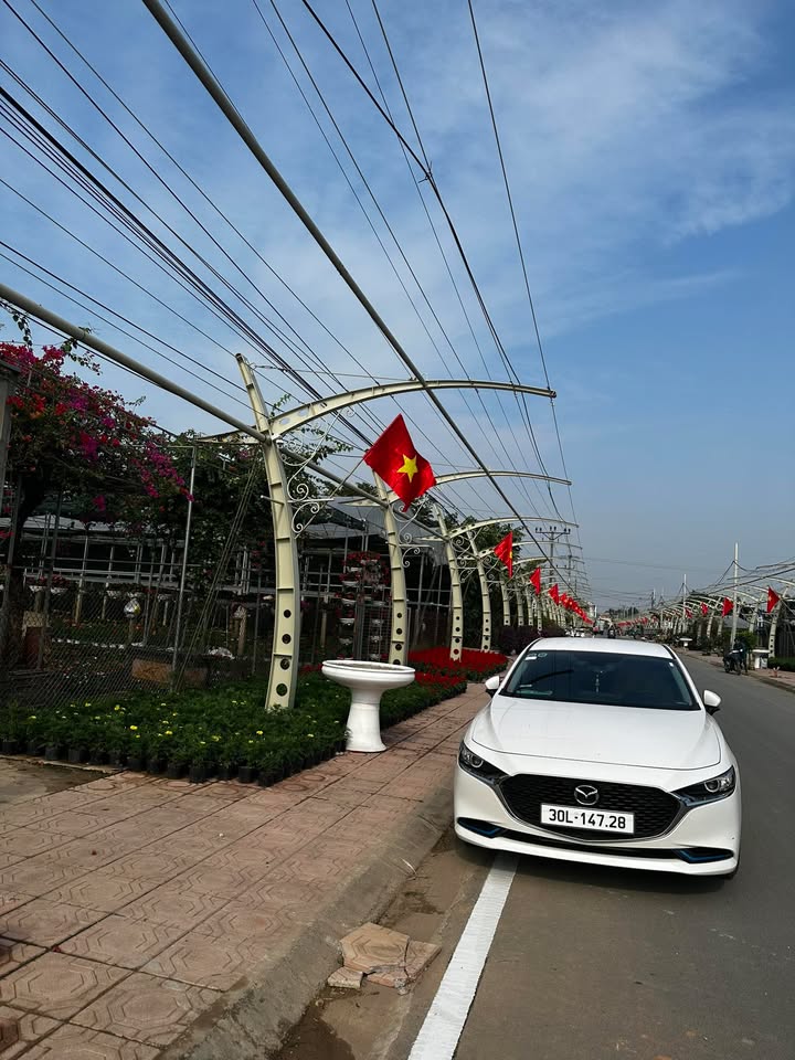 Đất nền đường Hoa Tích Giang, Phúc Thọ, 100m² - Giá đầu tư hấp dẫn!