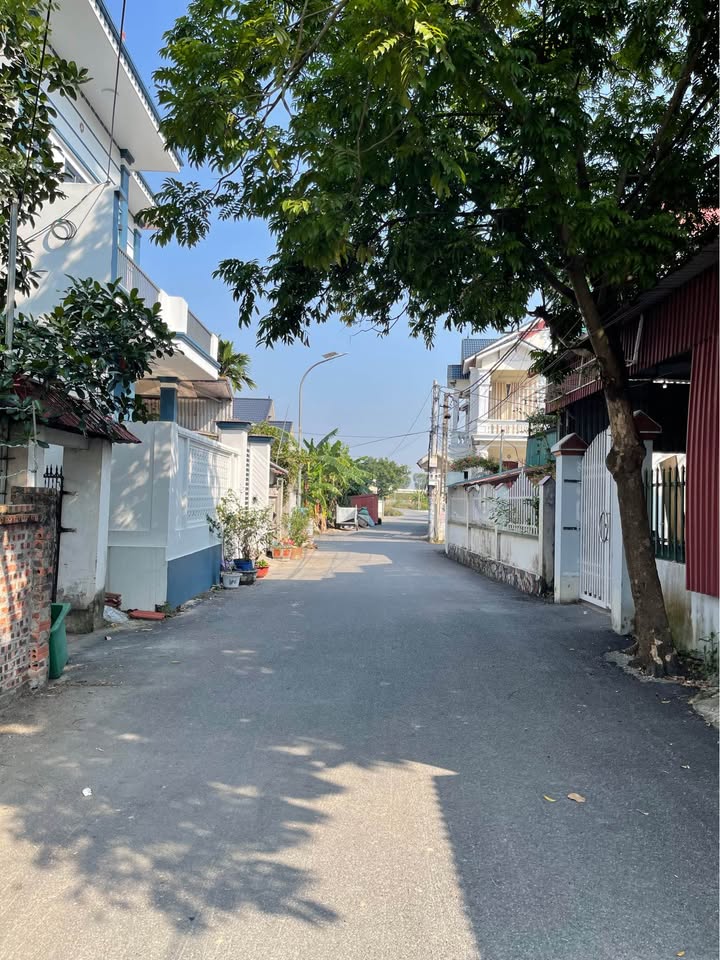 Lô đất thổ cư 117m² tại Thôn Dương Xá, Bình Giang - Đầu tư sinh lời hấp dẫn!