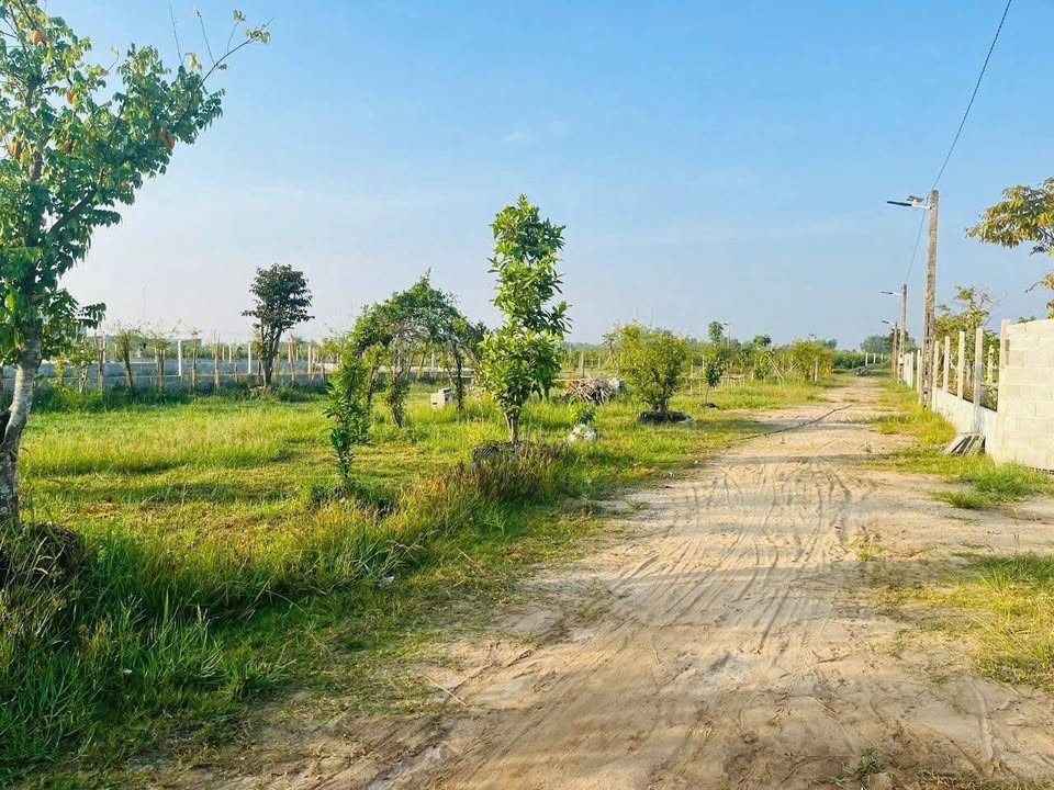 Đất vườn Củ Chi 1000m² giá 1,3 tỷ - Sổ hồng chính chủ, giá thương lượng!