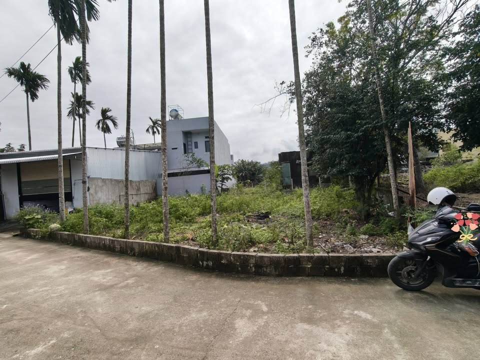 Lô đất Hòa Xuân 219m² giá 3.25 tỷ - Tiềm năng đầu tư lớn!