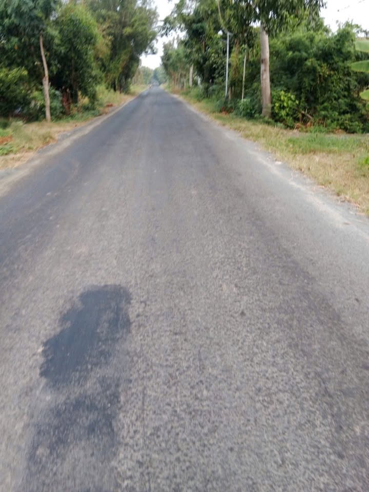 Đất nền Thạnh Phước, Bình Đại 858m² giá 1.2 tỷ - Đầu tư sinh lời ngay!