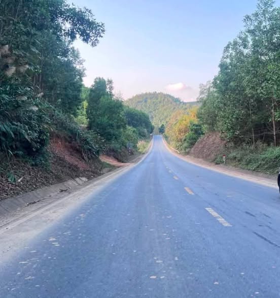 Đất rừng Tân Dương Định Hóa 6ha giá 1 tỷ - Cơ hội đầu tư hấp dẫn!