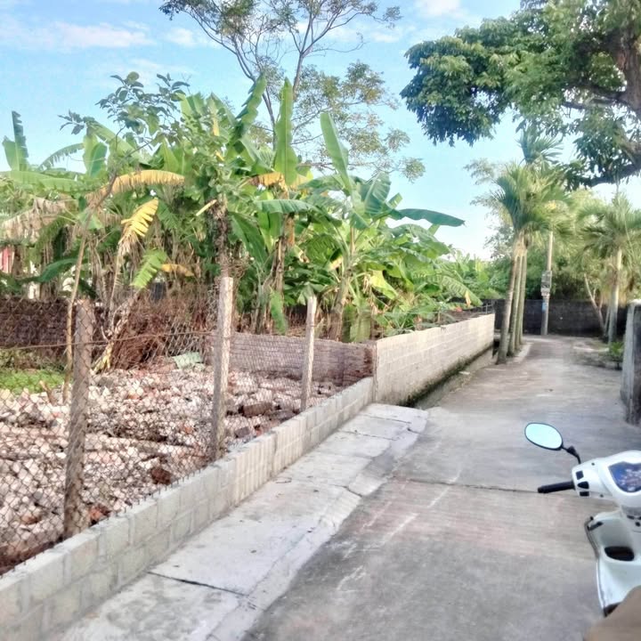 Lô đất 74m² tại Quang Bình, Kiến Xương - Chính chủ bán gấp chỉ 2xx triệu!