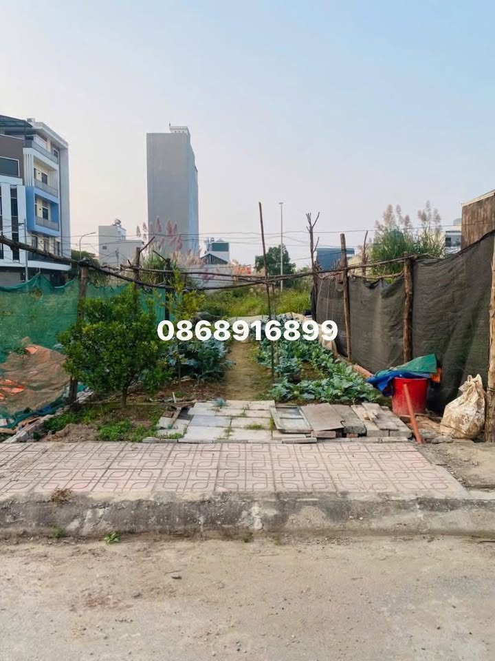 Đất dịch vụ Song Phương 58m² giá 8.1 tỷ - Cơ hội đầu tư hấp dẫn!