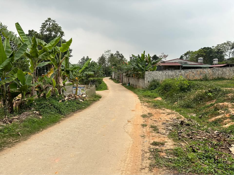 Đất Kim Phú Tuyên Quang 100m² - Đường 2 mặt thoáng, giá thương lượng!