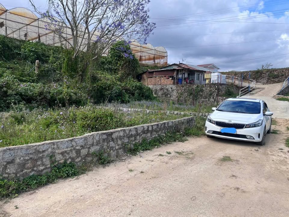 Đất nền phường 11 TP Đà Lạt 209m² - Giá chỉ 3.3 tỷ thương lượng chính chủ!