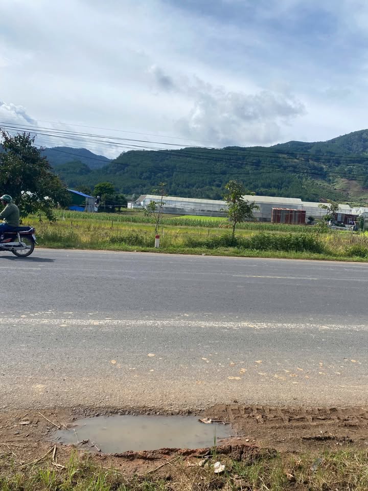 Đất Hiệp Thạnh, Lâm Đồng 220m² giá 3.005 tỷ - Cơ hội đầu tư hấp dẫn!