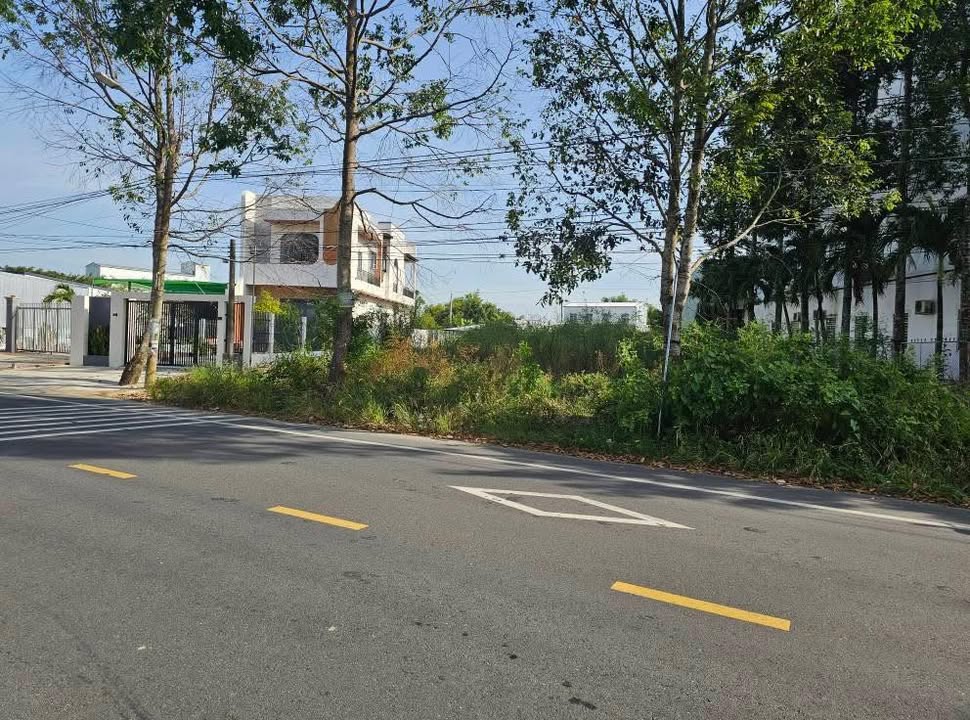 Bán đất mặt tiền lộ nhựa 919, Cờ Đỏ, 26.000m² chỉ 400 triệu - Đất vuông đẹp, tài lộc!