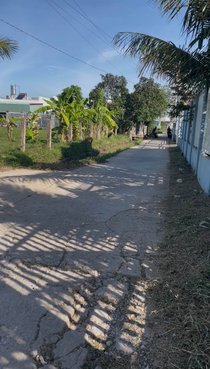 Đất 1 sào tại Hàm Thắng, 3600m² giá thỏa thuận - Đầu tư sinh lời ngay!