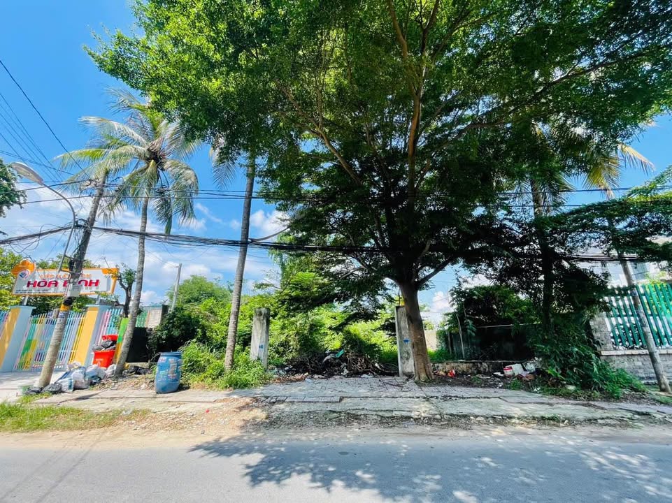 Đất mặt tiền đường nhựa Số 27, Tân Thông Hội, 981m² - Phù hợp làm biệt thự vườn!