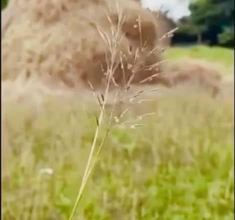 Nhà mặt tiền An Hạ, Phạm Văn Hai 200m² giá 4.6 tỷ - Đầu tư sinh lời ngay!