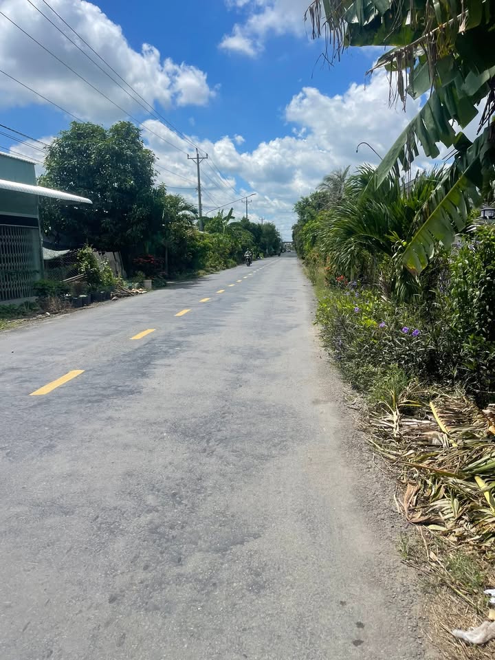 Đất nền mặt tiền Đường Huyện 65, xã Bình Phú, 525m² giá 3 tỷ - Cơ hội đầu tư tuyệt vời!