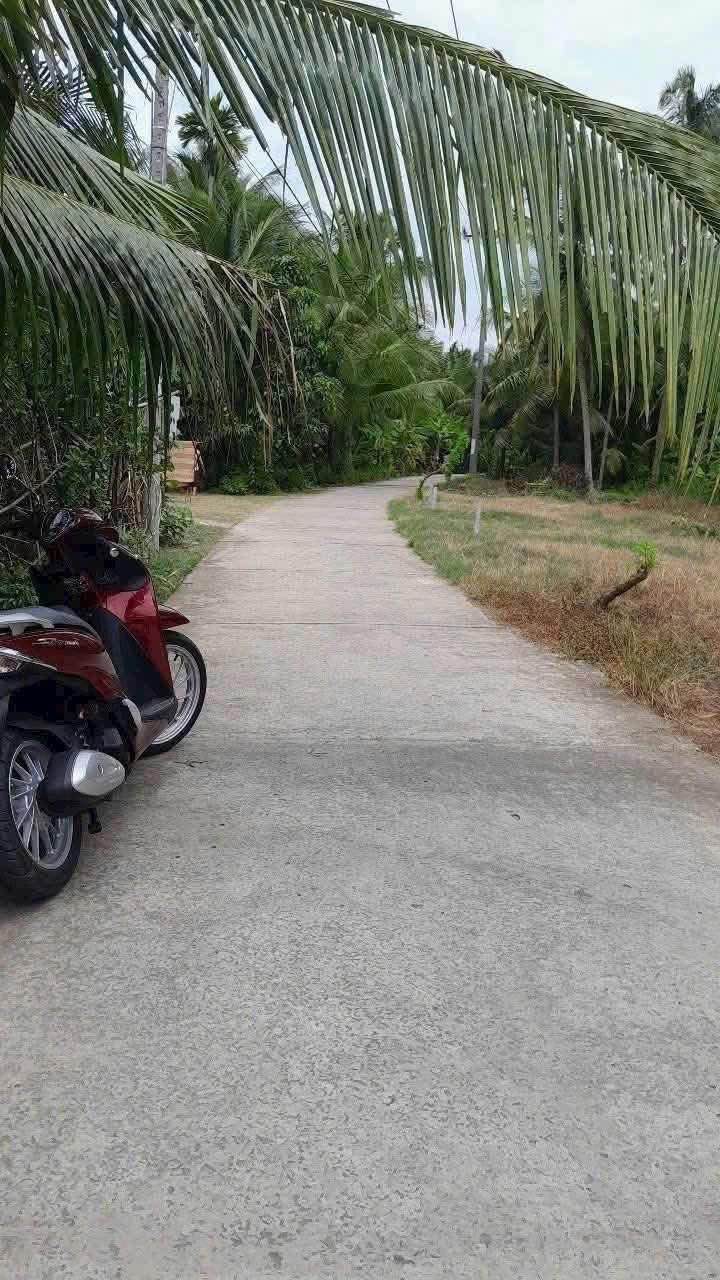 Đất nền Tân Phú Tây Mỏ Cày Bắc 83m² giá 360 triệu - Sổ hồng chính chủ