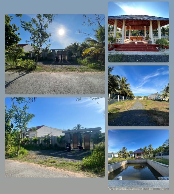 Đất mặt tiền lộ nhựa tại xã Sơn Phú, Bến Tre 2186m² giá 5.5 tỷ - Đầu tư sinh lời ngay!