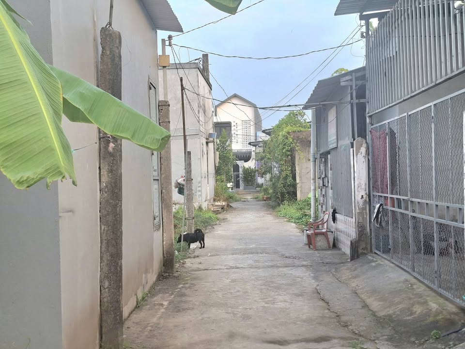 Đất nền Phú Khương Bến Tre 120m² giá 899 triệu - Đường ô tô vào tận nơi!