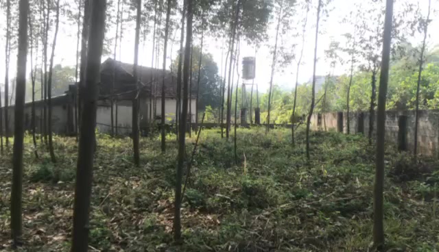 Đất Farm tại Yến Mao, Tu Vũ, Phú Thọ 2600m² - Giá thỏa thuận hấp dẫn!