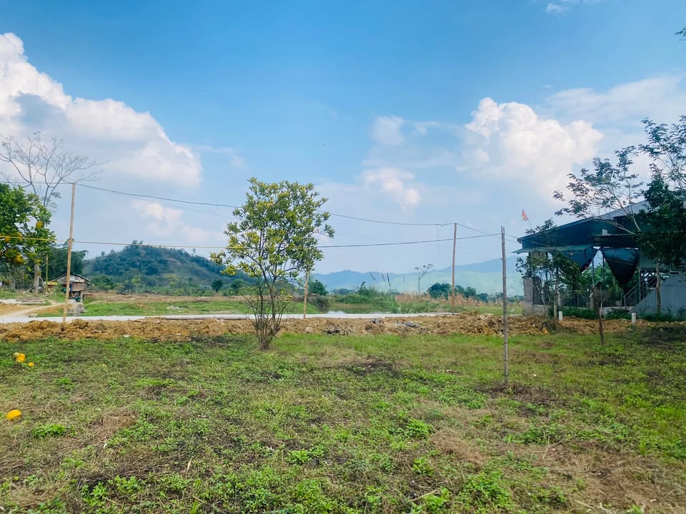 Lô đất Farm 4000m² Hào Lý, Đà Bắc - Không gian trong lành, giá thỏa thuận!