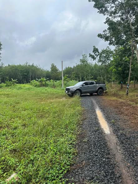 Đất nền Tân Đồng, Đồng Xoài 1200m² giá 320 triệu - Ô tô vào tận nơi!