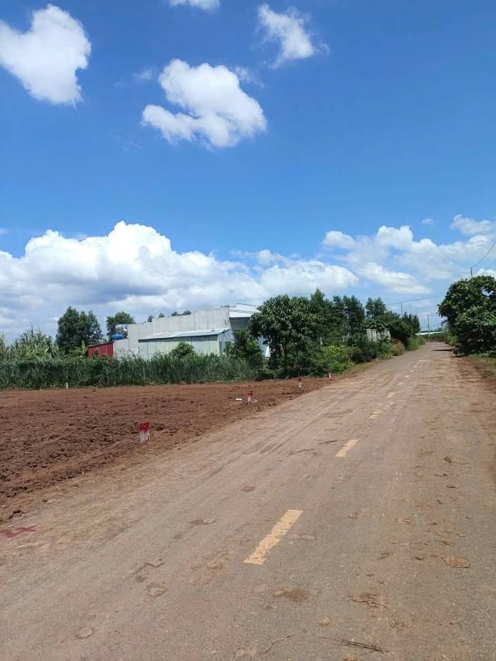 Đất nền Long Tân, Đất Đỏ 1000m² giá 1.17 tỷ - Sổ đỏ chính chủ, thổ cư sẵn