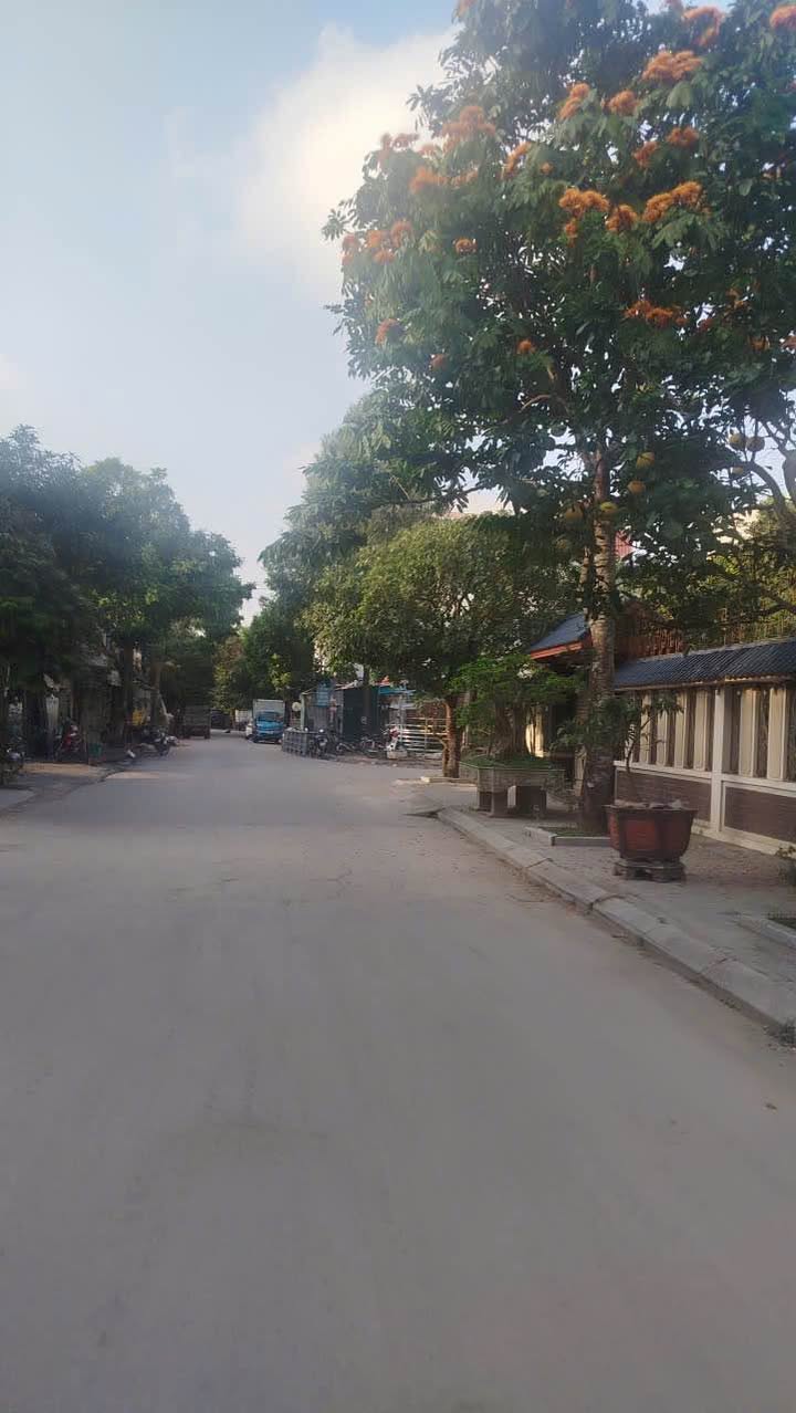 Lô đất chính chủ tại đường Trần Khánh Dư, phường Hàm Rồng, 95m² giá 4 tỷ - Cơ hội đầu tư tuyệt vời!