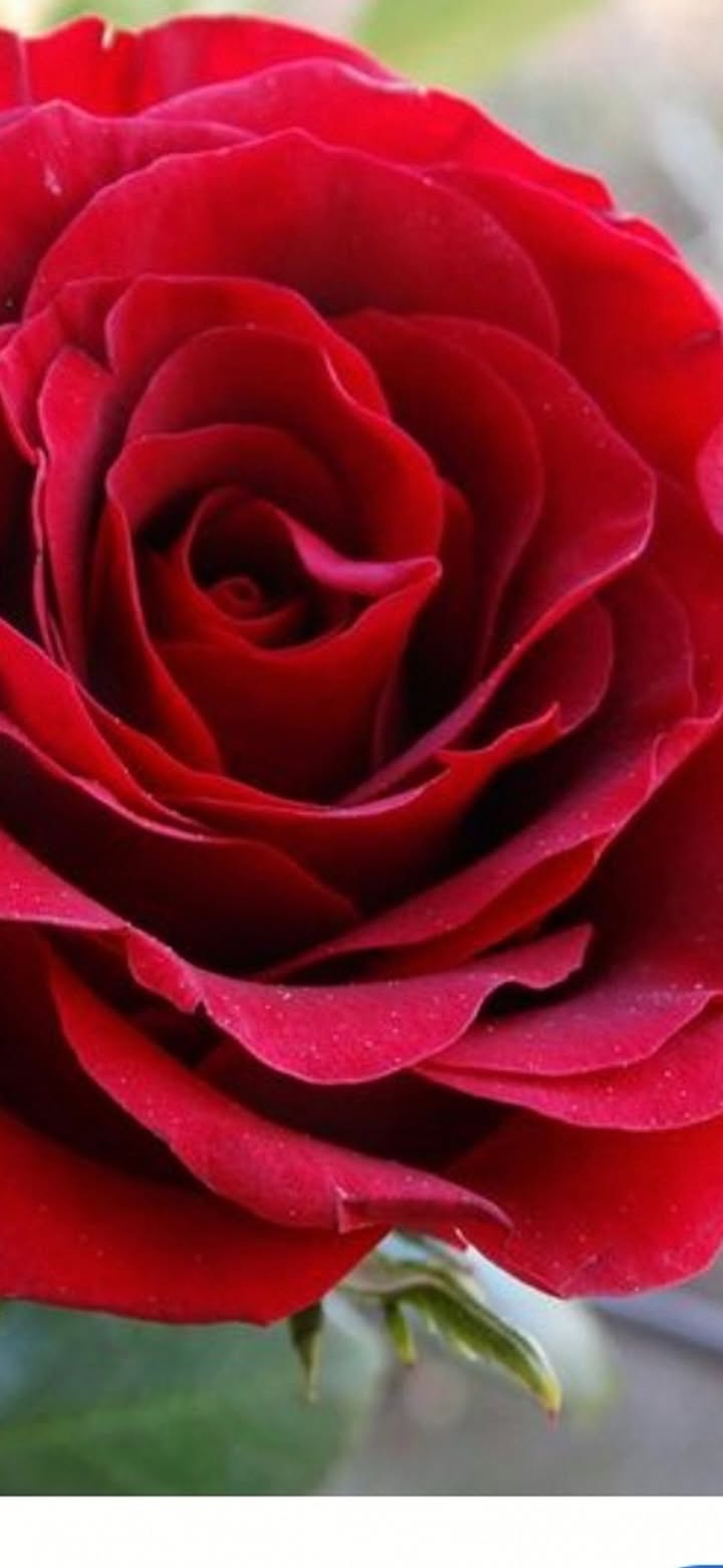 Đất thổ cư Lộc Ngãi, Bảo Lâm 6200m² giá 6.5 tỷ - Cơ hội đầu tư hấp dẫn!