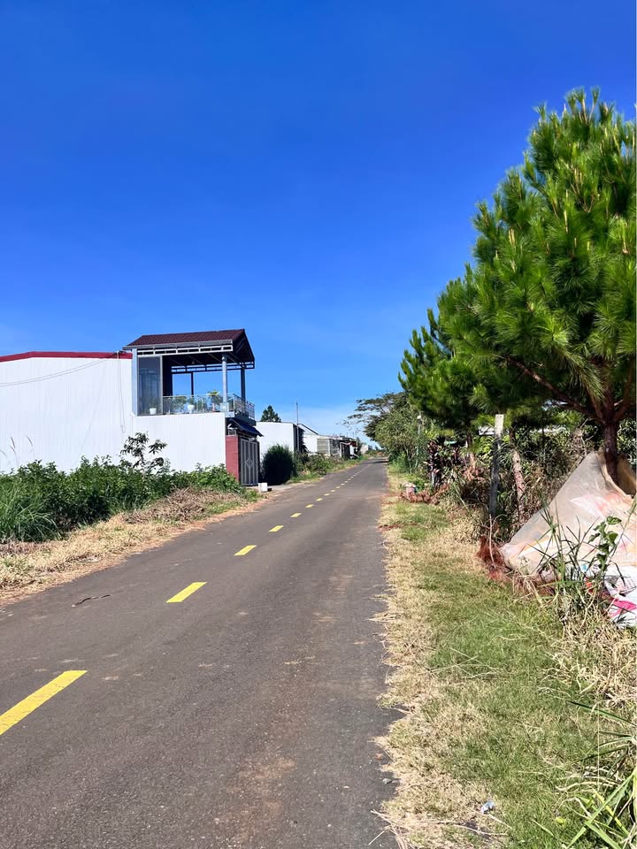 Đất nền mặt tiền Trần Tế Xương, Bảo Lộc 100m² giá 1.2 tỷ - Đầu tư sinh lời ngay!