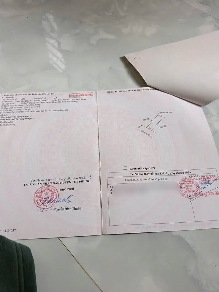 Đất mặt tiền đường Đs5, thôn Vân Hội 2, Diêu Trì 85m² giá 1.5 tỷ - Cơ hội đầu tư tuyệt vời!