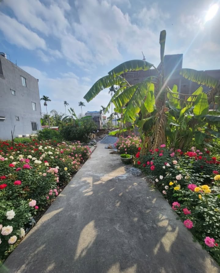 Đất nền ngõ 68 Xuân Diệu 66,8m² giá 1,05 tỷ - Đầu tư sinh lời ngay!