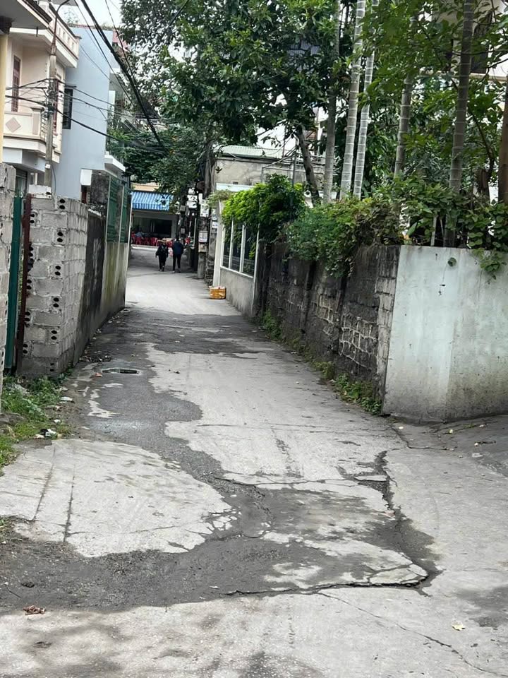 Đất Cẩm Bình 60m² giá 800 triệu - Cơ hội đầu tư tuyệt vời!