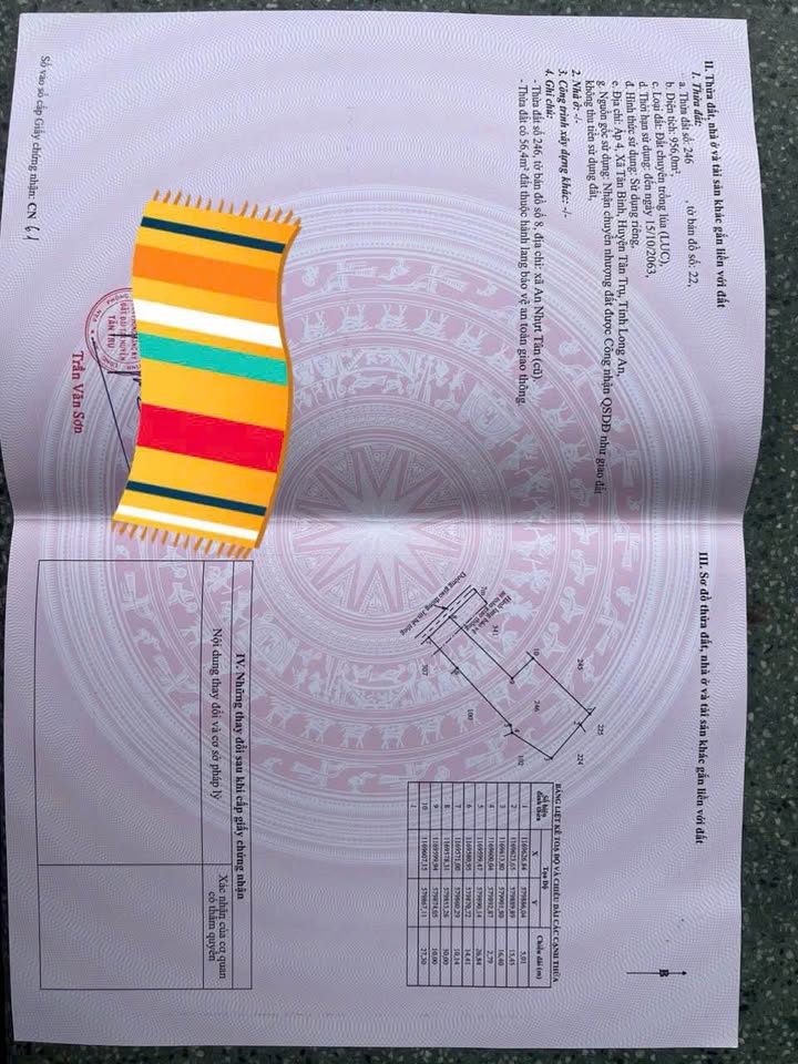 Đất 1256m² tại Ấp 4 An Nhựt Tân, Tân Trụ - Giá 2 tỷ, Sổ hồng riêng!