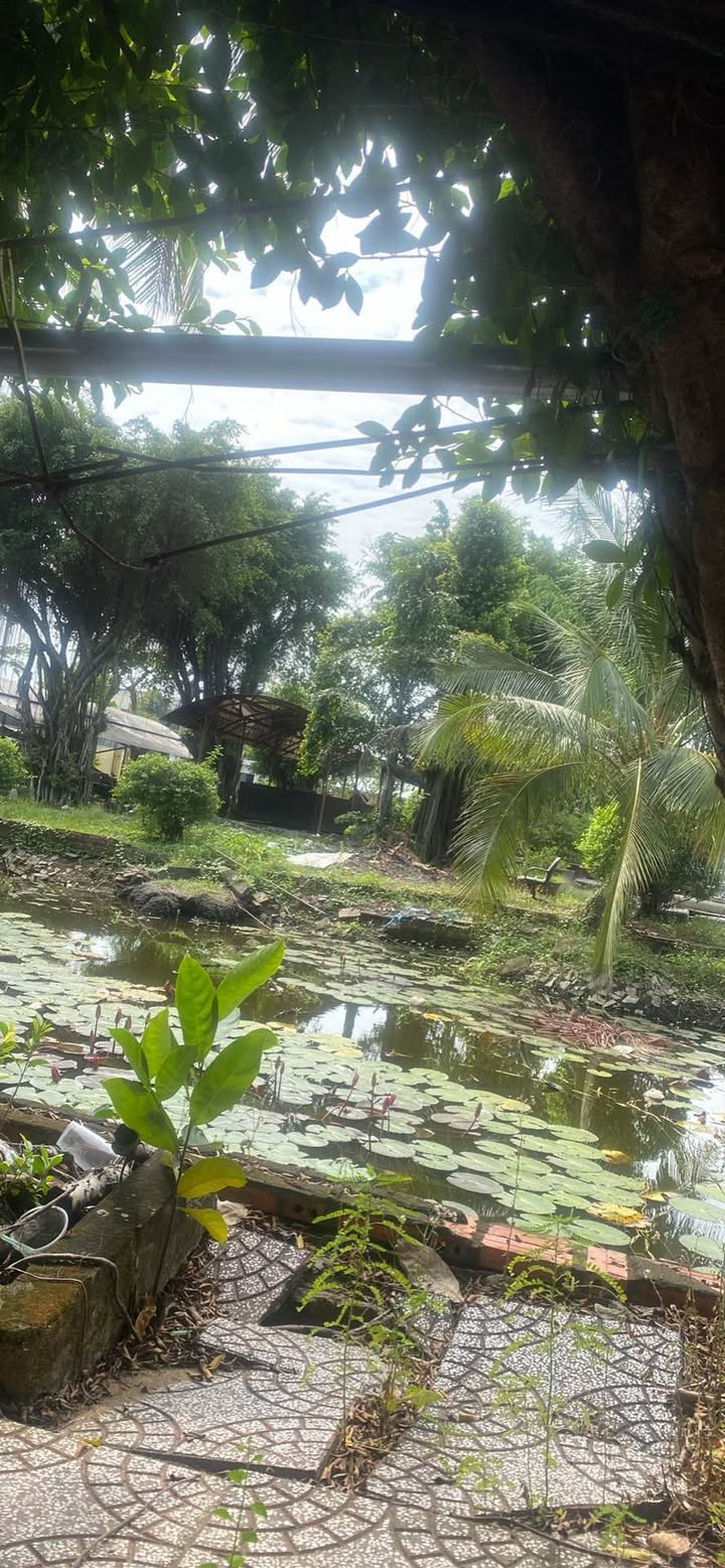 Bán nhà mặt tiền Nguyễn Thông, Tân An 180m² giá 6.6 tỷ - Kinh doanh thuận lợi!