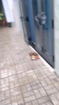 Dãy trọ Nghĩa Lộ, Quảng Ngãi 128m² giá 1.8 tỷ - Đầu tư sinh lời ổn định!