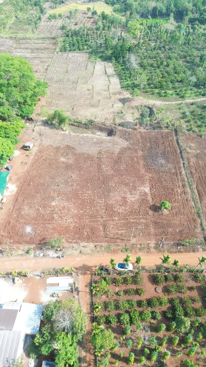 Đất nền Ea Drông - 200m² chỉ 239 triệu - Cơ hội đầu tư hấp dẫn!