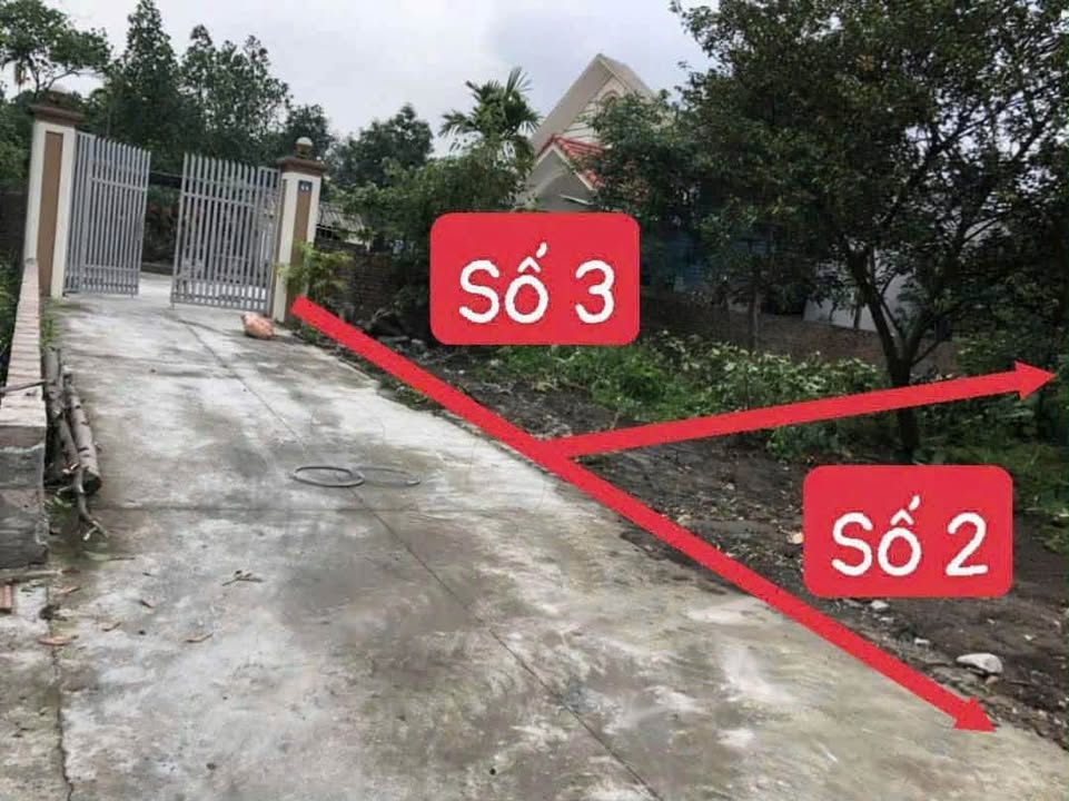 Lô đất 100m² tại Vĩnh Phú, Mạo Khê - Đông Triều giá chỉ 600 triệu - Đầu tư sinh lời!