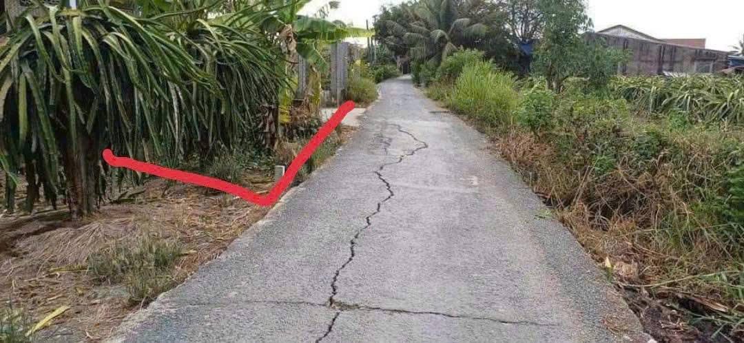 Đất thổ cư 184m² Xóm Nhà Giàu, Châu Thành, Long An - Giá chỉ 450 triệu!