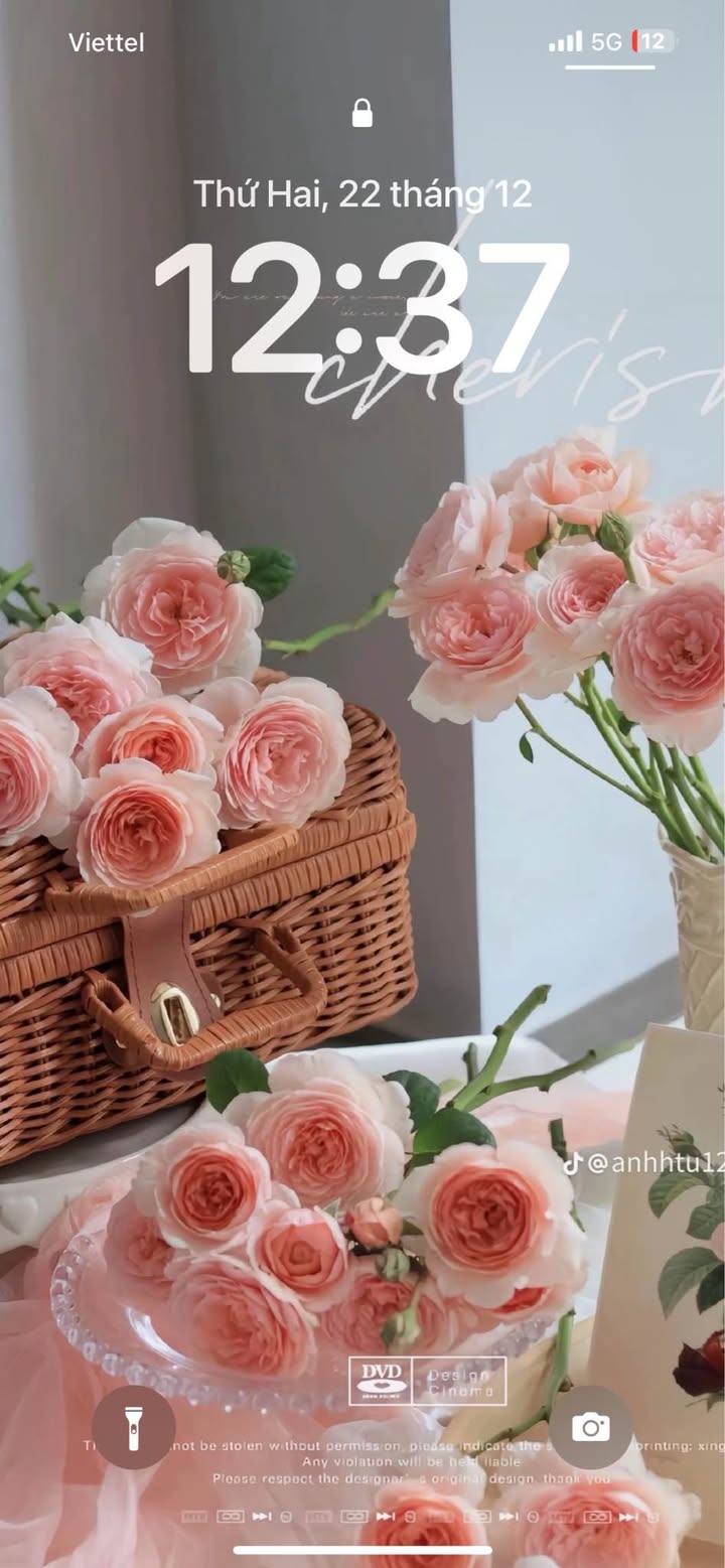 Đất nền mặt tiền Đỗ Hành, Phú Thủy 100m² giá 4.3 tỷ - Cơ hội đầu tư tuyệt vời!