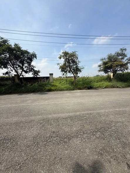 Đất mặt tiền KCN Nhị Xuân Hóc Môn 4.800m² giá 39.9 tỷ - Cơ hội đầu tư vàng!