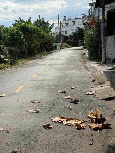 Đất thổ cư 321.7m² 3 mặt tiền Đông Thạnh – Hóc Môn giá 9 tỷ - Cơ hội đầu tư tuyệt vời!